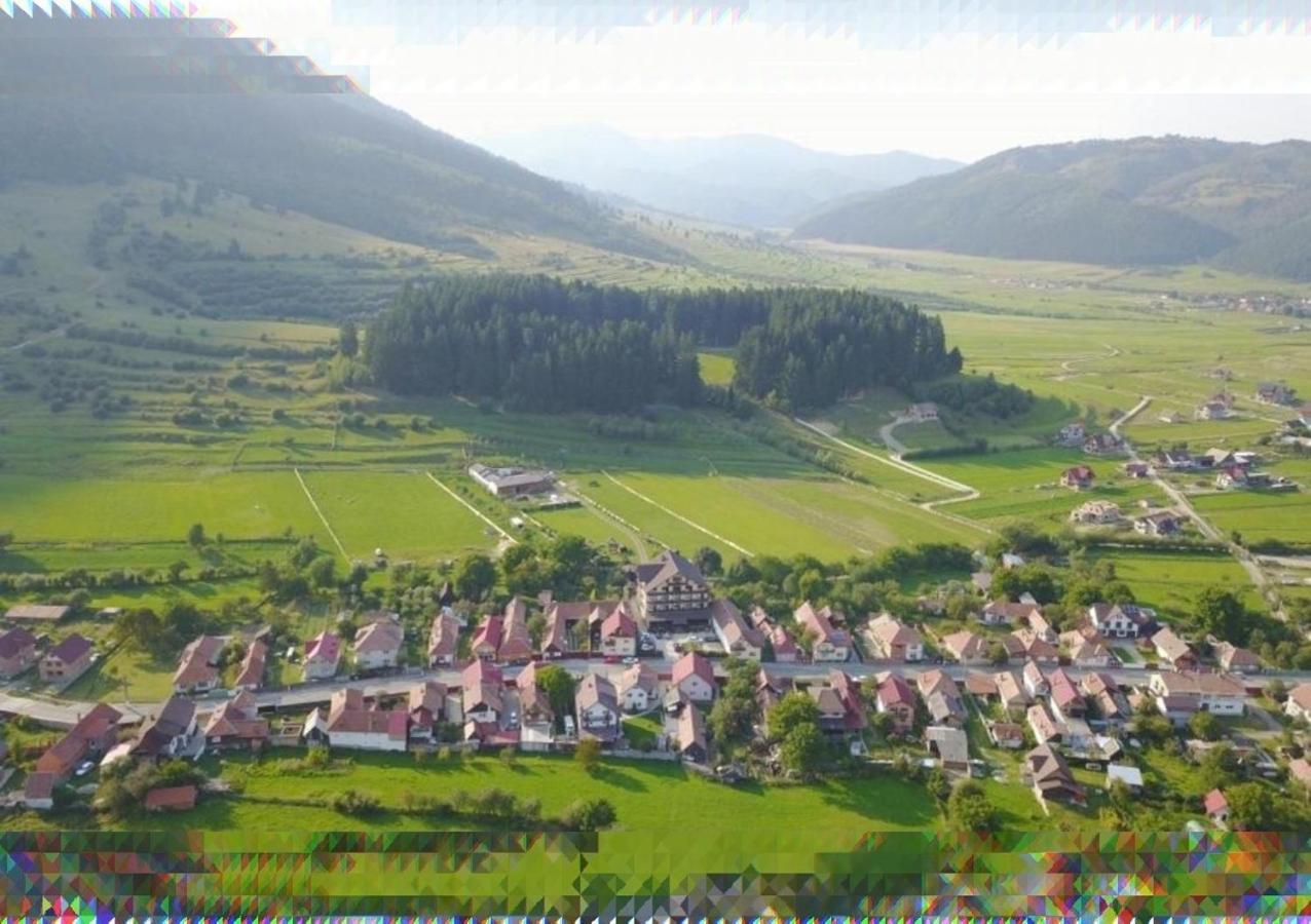 Vila Hora Cu Brazi Zărneşti Exteriör bild