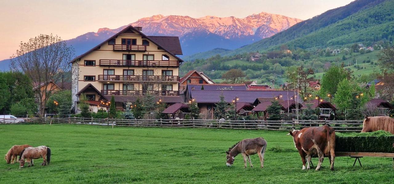 Vila Hora Cu Brazi Zărneşti Exteriör bild