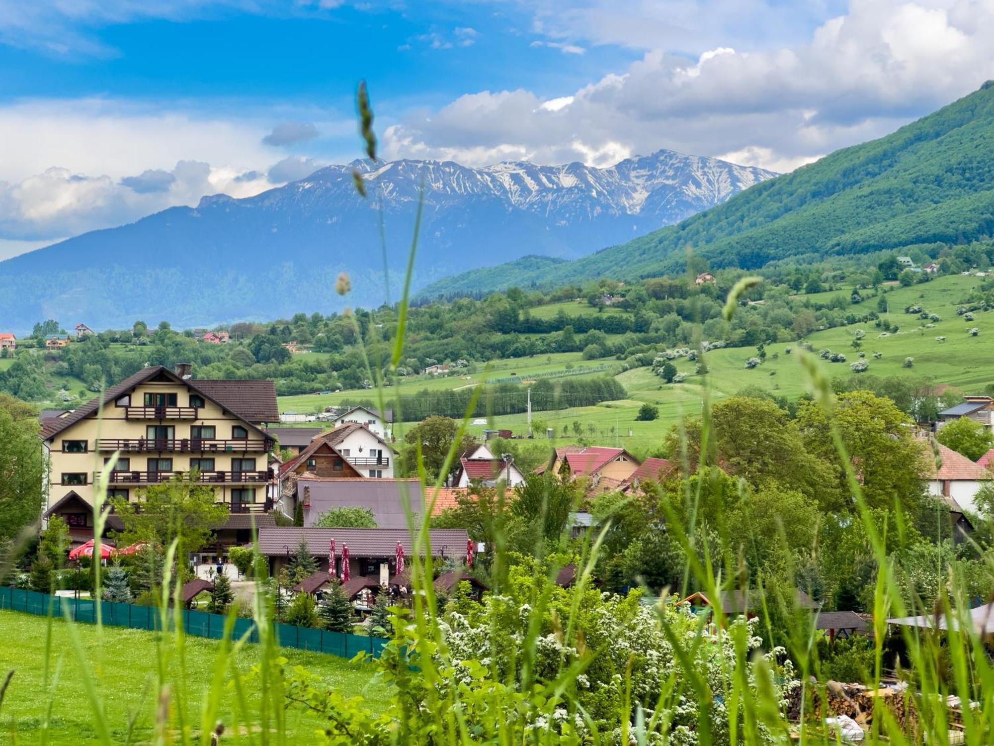 Vila Hora Cu Brazi Zărneşti Exteriör bild