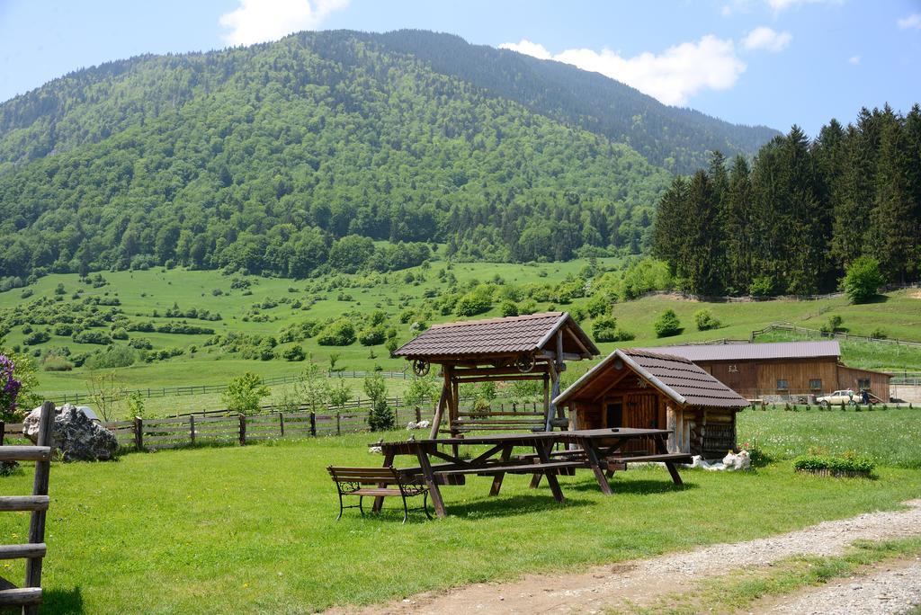 Vila Hora Cu Brazi Zărneşti Exteriör bild