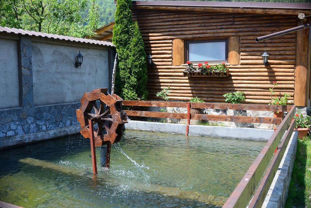 Vila Hora Cu Brazi Zărneşti Exteriör bild