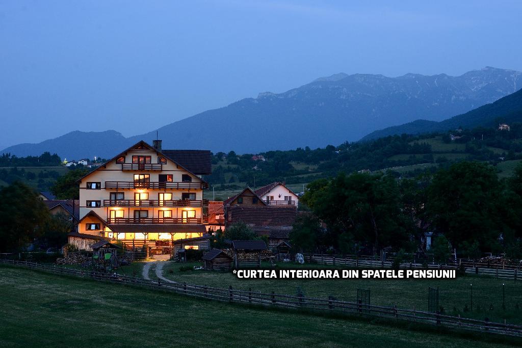Vila Hora Cu Brazi Zărneşti Exteriör bild
